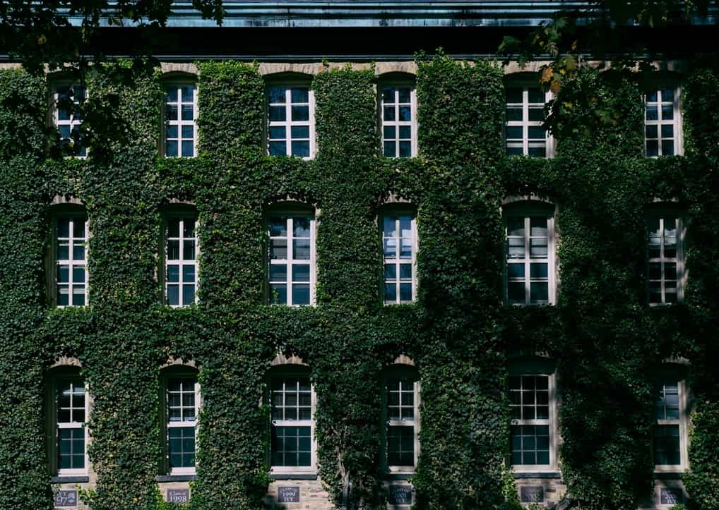 Ivy Day 2026: Everything You Need To Know & Expect