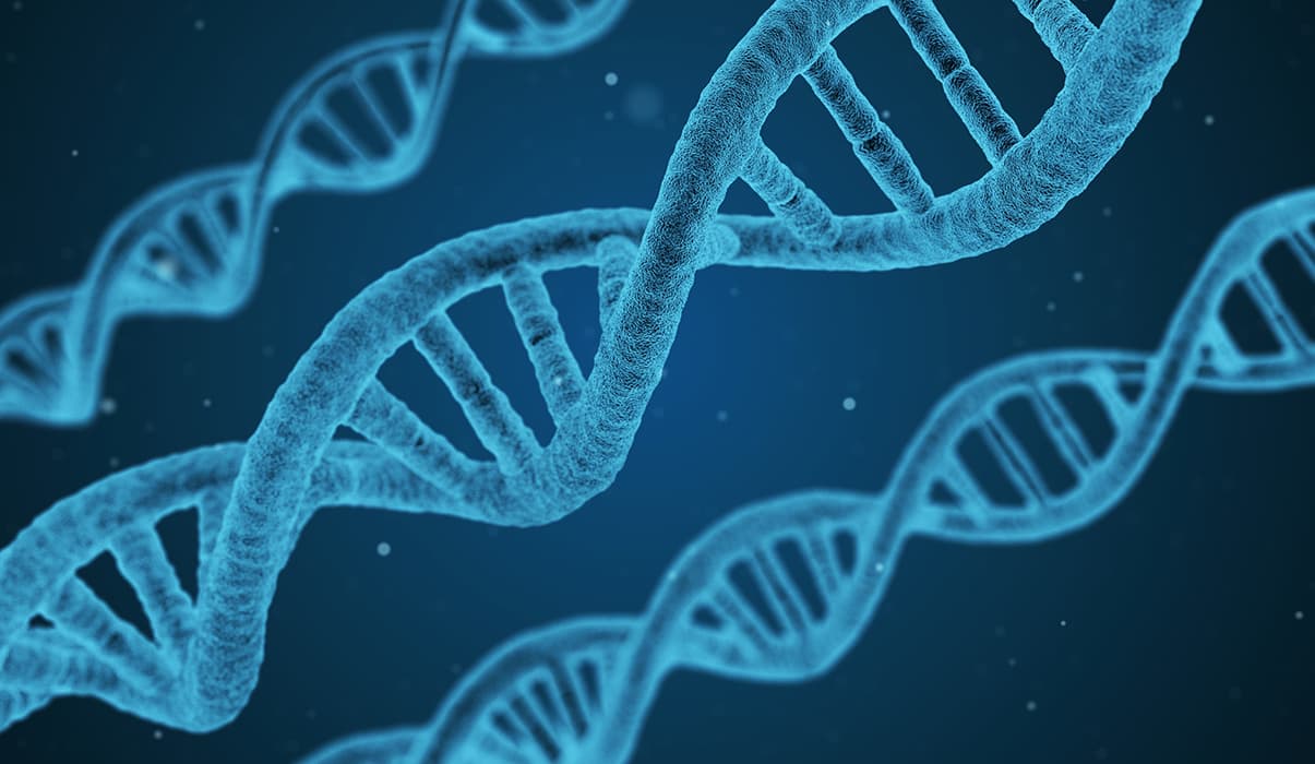 Bridging Science and Medicine: Exploring Career Paths with a Biomedical Engineering Degree