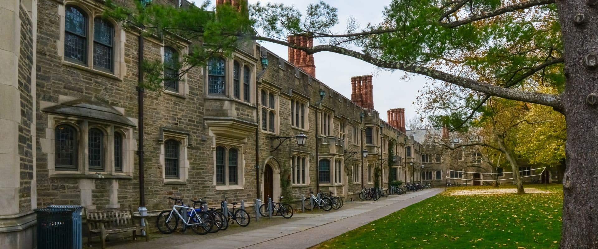 What Are the 12 Ivy League Schools?