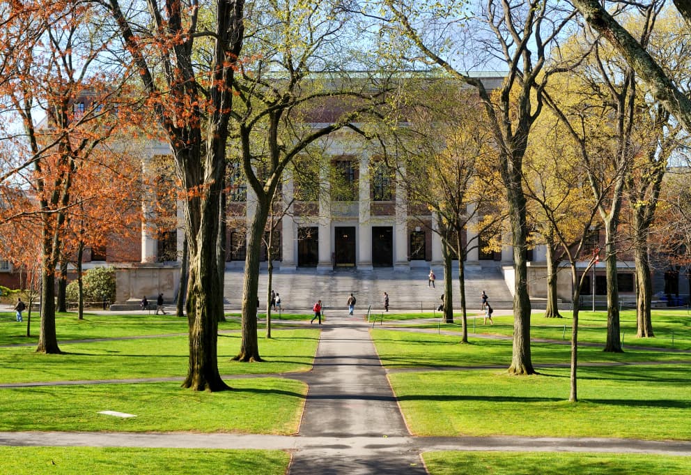 Understanding Yield: Expert Insights for Your Admissions Strategy